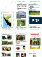 PDF Triptico Selva Peruana - Compress