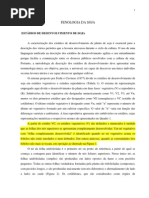 Download FENOLOGIA DA SOJA by Claudinei Finger SN67060349 doc pdf