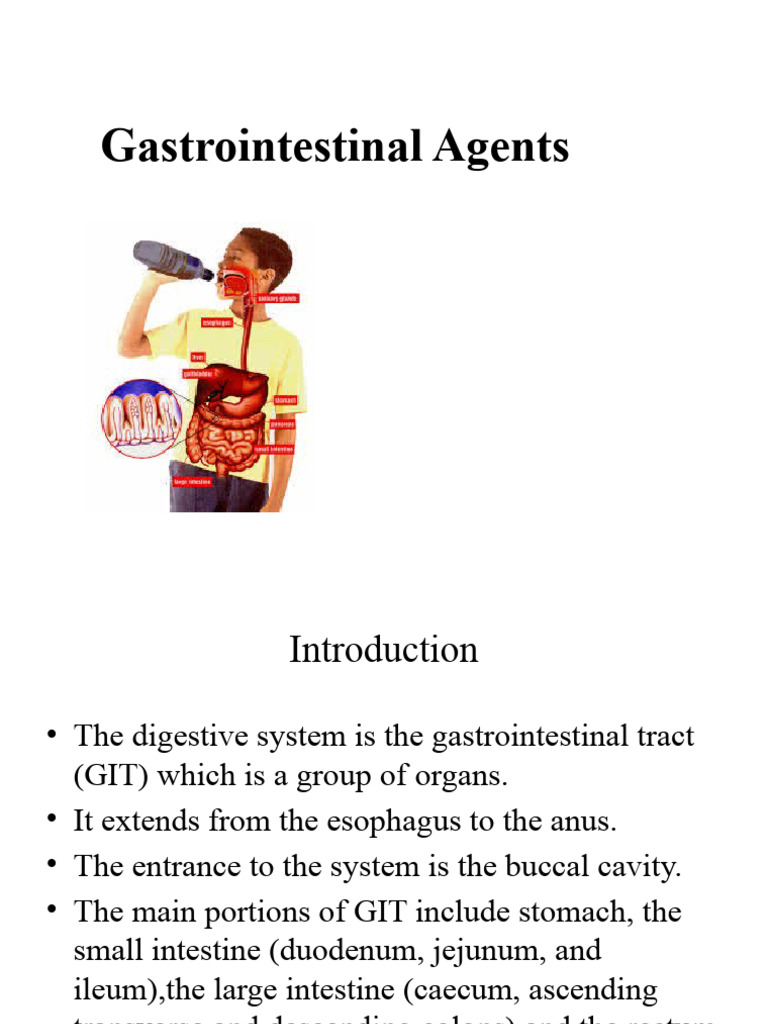 Antacids SY PDF Gastrointestinal Tract Magnesium