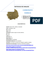 Protocolo de Analisis