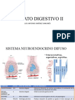 APARATO DIGESTIVO II Reducido