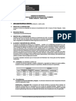PDF TDR Repintado Marca en El Pavimento Chiguata - Compress