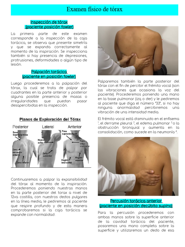 Examen físico del tórax: Inspección y Auscultación | PDF | Corazón | Pulmón
