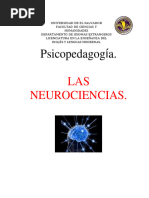 Neurociencia Del Aprendizaje Psicopedagogia.