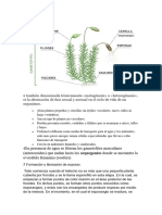 2 También Denominada Técnicamente