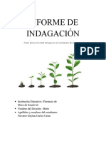 Estructura Del Informe de Indagació1