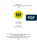 LAPORAN KASUS Pneumothorax - Silvi Sari Dewi