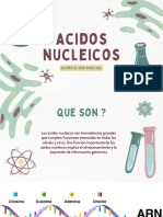 Exposision Acidos Nucleic??os