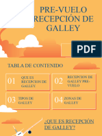 RECEPCION DE GALLEY PP