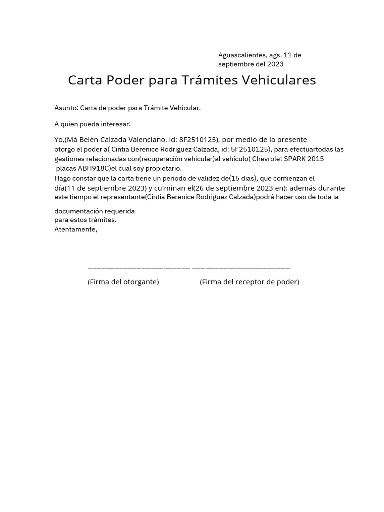 Carta Poder para Trámites Vehiculares | PDF