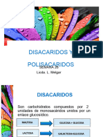 26 Disacaridos y Polisacaridos 2023