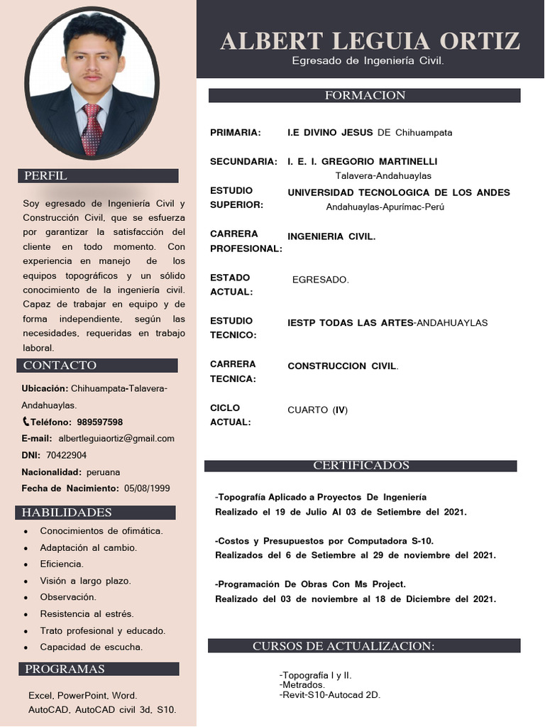 Perfil Profesional de Albert Leguía Ortiz | PDF