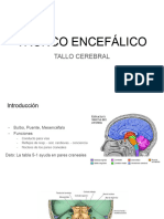 Tronco Encefalico