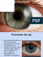 Ojo Humano - PPT 20230823 223212 0000