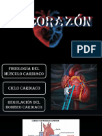 Fisiología de Corazón