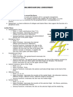 Peripheral Nerve Injury