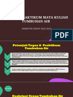 Tugas & Praktikum Tumbuhan Air-2023