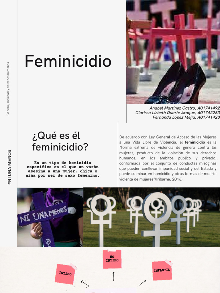 Feminicidio: Realidad y Leyes | PDF | La violencia contra las mujeres ...