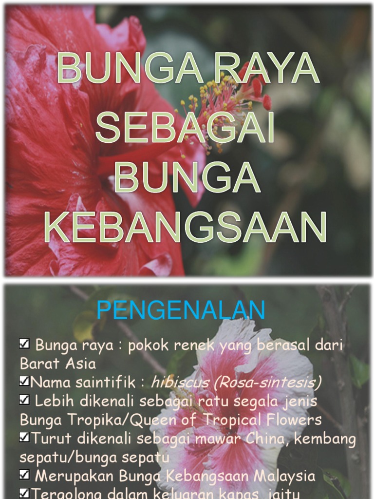 Bunga Raya Sebagai Bunga Kebangsaan Pdf