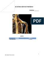 02 Taller de Sistema Nervioso Periférico