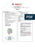 Thorax - Overview