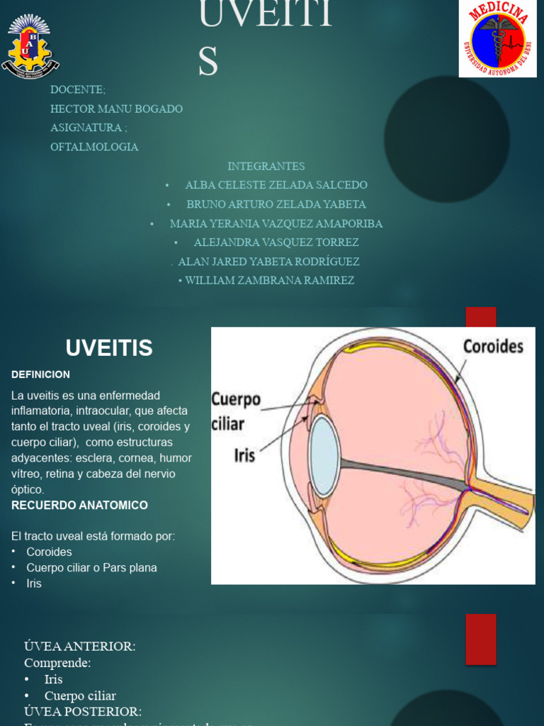 Guía Completa sobre Uveítis | PDF | Ojo humano | Sistema visual