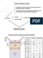 Aula ExcretorioUMC1