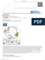 CDC - DPDX - Giardiasis - En.es