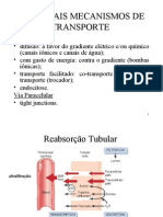 Excretório