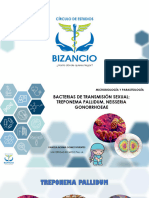 17.bacterias de Transmision Sexual T. Pallidum y N. Gonorrhoeae