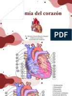 Anatomía Del Corazón Diapositivas
