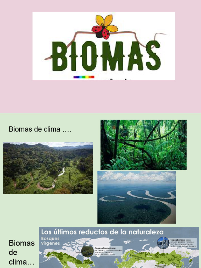 BIOMAS | PDF | Clima | Ciencias de la Tierra