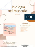 Fisiología Del Músculo