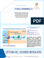 Receptores Hormonales - 20230903 - 143218 - 0000