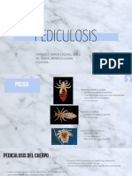 Pediculosis - 2