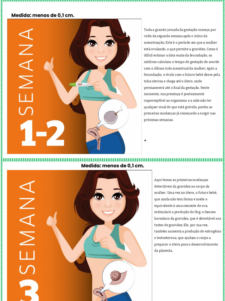 Mudanças no Corpo na Gravidez Inicial | PDF | Gravidez | Parto, image size:768x1024