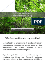 Tipos de Vegetación