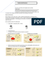 Nucleic Acid Structure