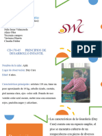 principios desarrollo infantil