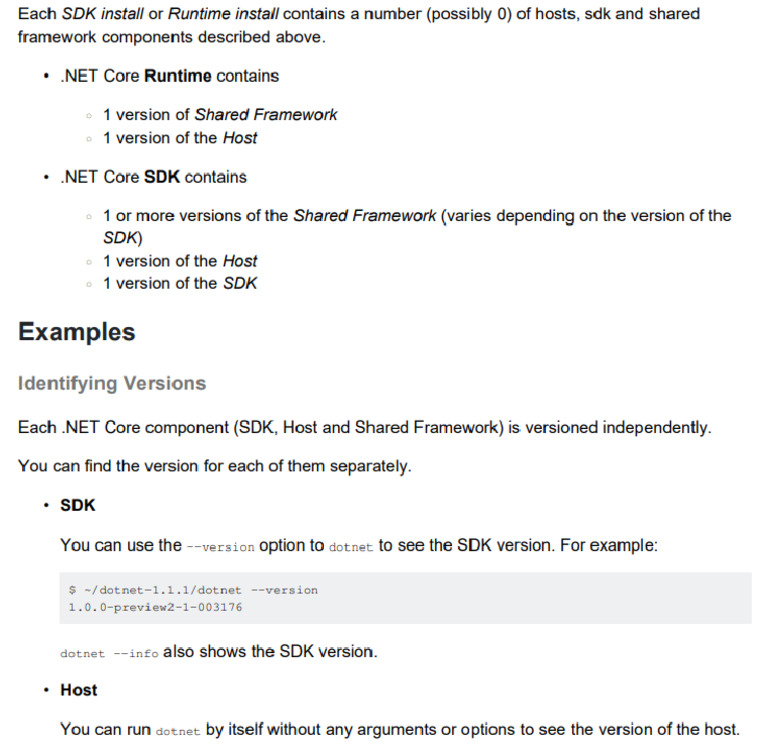 Runtime and sdk pdf