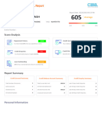 PDF Cibil Report