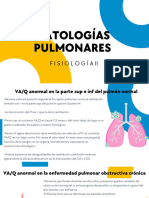 Patologías Pulmonares