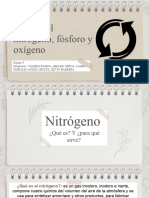 Ciclos Nitrógeno, Fosforo, Oxígeno