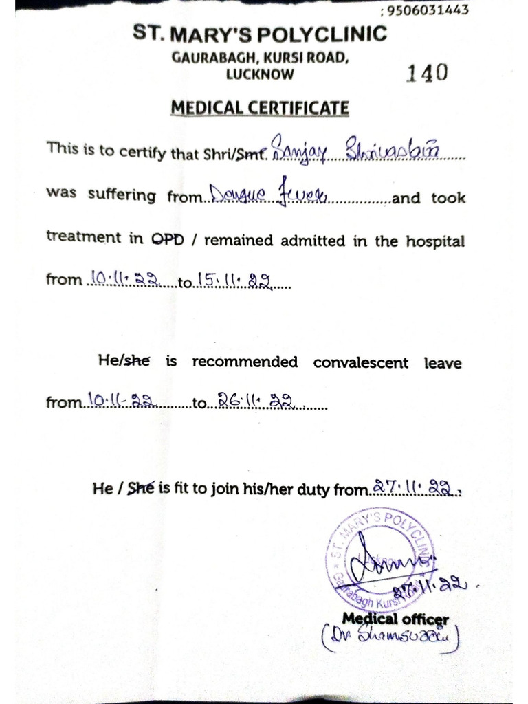 What is Fitbit Labs visual data 2