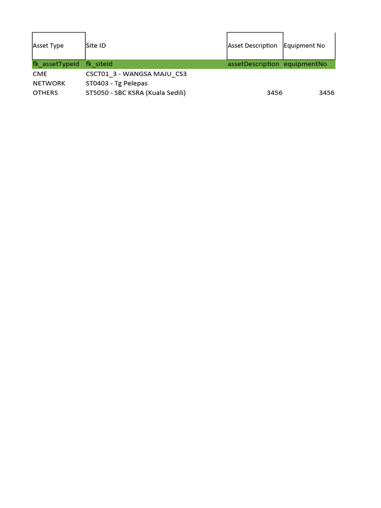 Asset Management Data Overview | PDF | Malaysia