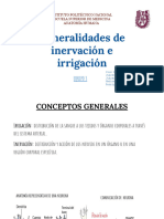 Generalidades de Inervación e Irrigación