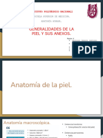 Generalidades de Piel y Anexos - 230911 - 143511
