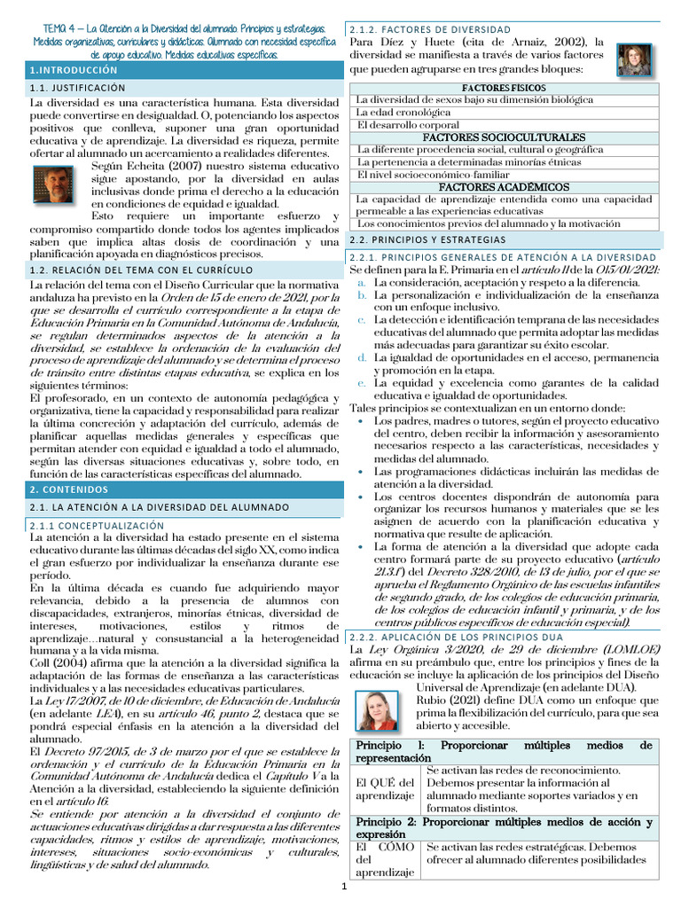 Atención a la Diversidad en Primaria | PDF | Plan de estudios | Evaluación