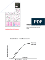 Relaciones Dosis-Respuesta