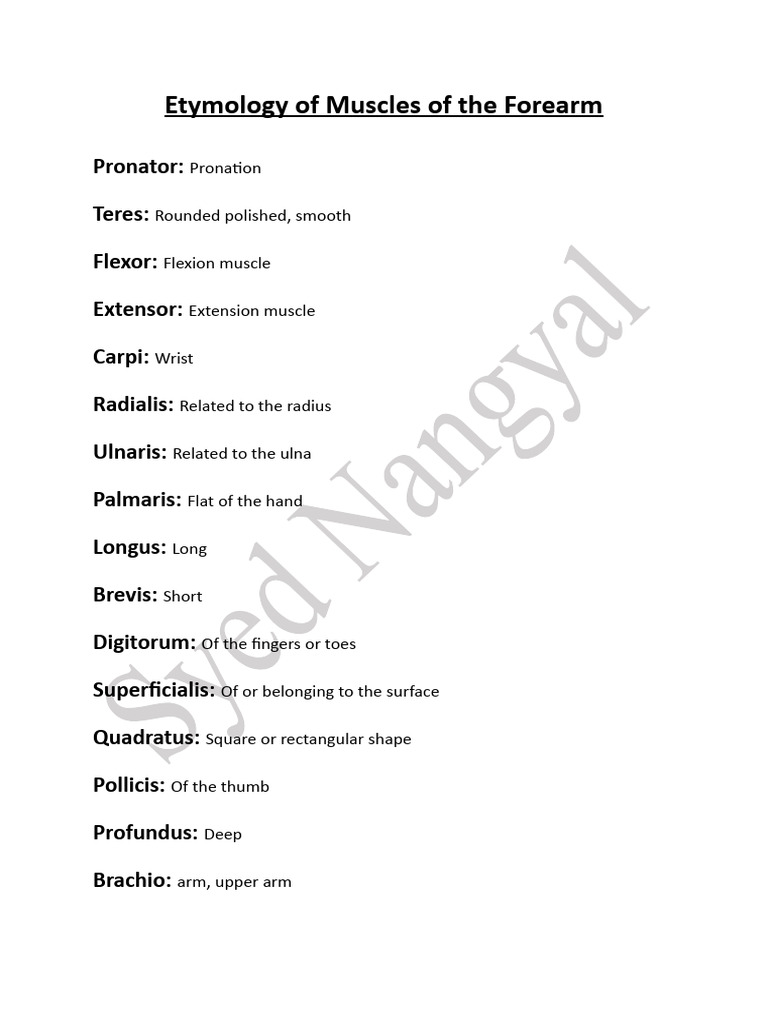 Etymology of Muscles of The Forearm PDF